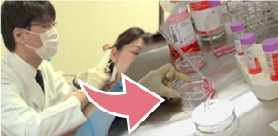 (皮肤采集)细胞培养、(血液采集)血小板浓